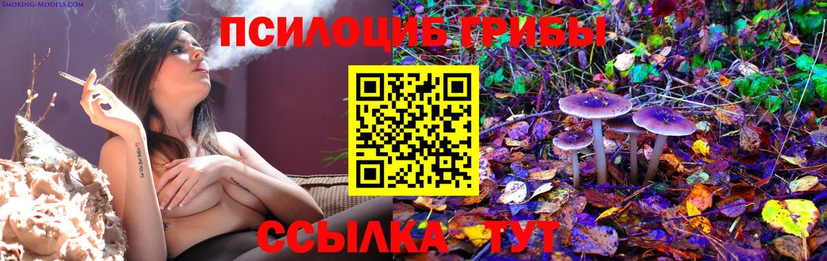Корсаков  Псилоцибиновые грибы Cubensis  Вход с VPN 