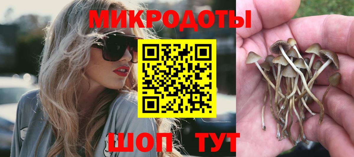 Псилоцибиновые грибы мухоморы Корсаков